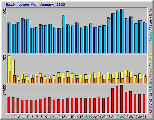 Daily usage for January 2025