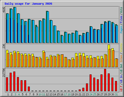 Daily usage for January 2026