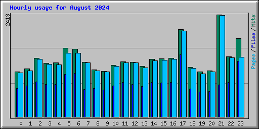 Hourly usage for August 2024