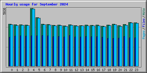 Hourly usage for September 2024