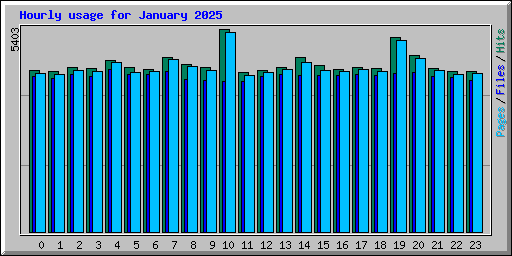 Hourly usage for January 2025