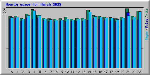 Hourly usage for March 2025