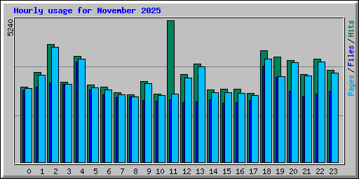 Hourly usage for November 2025
