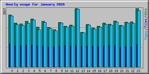 Hourly usage for January 2026